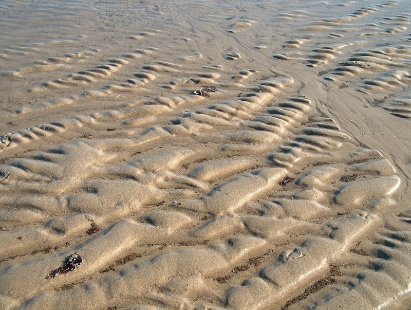 Flourish Garden Network Location in the Netherlands